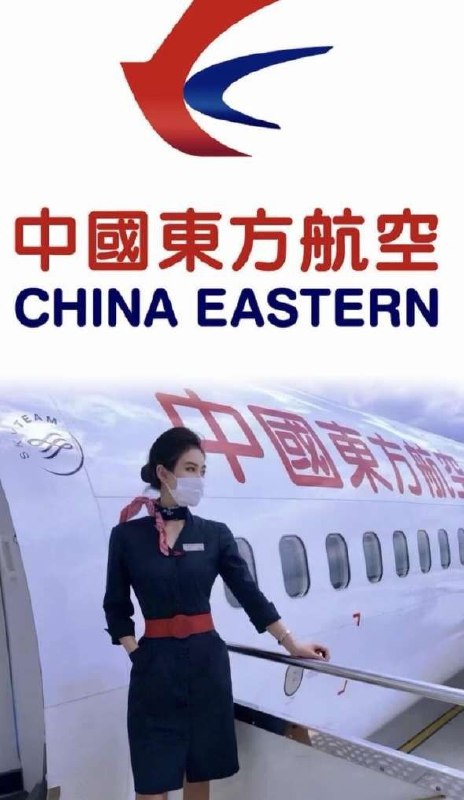 #重庆水原希子新到空姐。言谈举止气质佳，衣着大牌御姐型。身高171，体重96，🉑🐍🉑69，服务超级好无差评。 - Photo 7 - 重庆 Call Girl